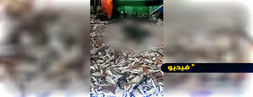 شاهدوا.. العثور على جثة في شبكة صيد يثير صدمة واستياء البحارة شاهدوا.. العثور على جثة في شبكة صيد يثير صدمة واستياء البحارة