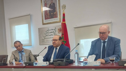 بوصوف يقرب أعضاء المجلس الاقتصادي والاجتماعي والبيئي من واقع الشباب المغربي في أوروبا بوصوف يقرب أعضاء المجلس الاقتصادي والاجتماعي والبيئي من واقع الشباب المغربي في أوروبا