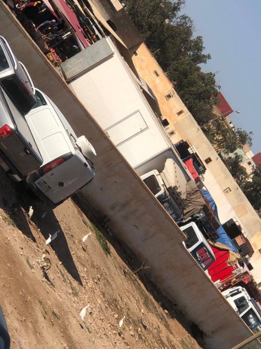 تلويث حي سكني في سلوان ببقايا ومخلفات الأسماك يثير استياء الساكنة تلويث حي سكني في سلوان ببقايا ومخلفات الأسماك يثير استياء الساكنة