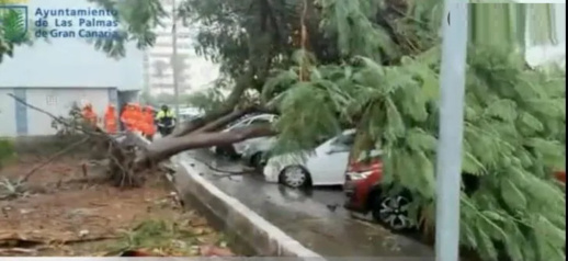 تتجه نحو المغرب.. تحويل مسار مئات الرحلات الجوية في إسبانيا تتجه نحو المغرب.. تحويل مسار مئات الرحلات الجوية في إسبانيا