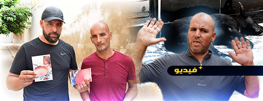 شاهدوا.. كلاب ضالة بالناظور تهاجم طفلا ينجو بأعجوبة والمواطنون يستغيثون بالسلطات شاهدوا.. كلاب ضالة بالناظور تهاجم طفلا ينجو بأعجوبة والمواطنون يستغيثون بالسلطات