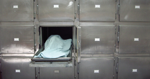 لدغة أفعى سامة تتسبب في وفاة شابة بإقليم الدريوش لدغة أفعى سامة تتسبب في وفاة شابة بإقليم الدريوش