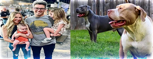 مأساة محزنة.. كلبان ينهشان طفلان وأمهما  مأساة محزنة.. كلبان ينهشان طفلان وأمهما