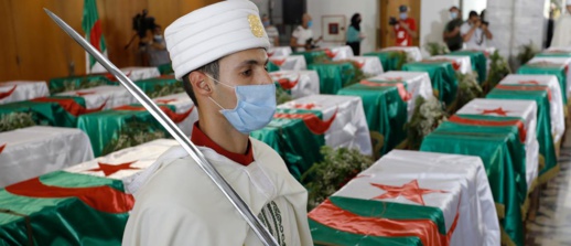 جماجم لصوص بدل مقاومين.. خديعة كبرى تعرض لها الجزائريون من طرف فرنسا وتبون جماجم لصوص بدل مقاومين.. خديعة كبرى تعرض لها الجزائريون من طرف فرنسا وتبون