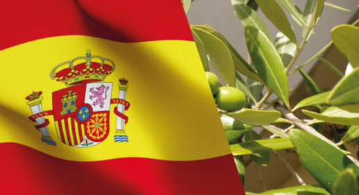 اسبانيا تتخلى عن النشاط التجاري مع الجزائر وتعوضه بالروسي اسبانيا تتخلى عن النشاط التجاري مع الجزائر وتعوضه بالروسي