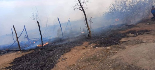 صور.. اندلاع حريق بورشة لصناعة القصب ضواحي مدينة العروي صور.. اندلاع حريق بورشة لصناعة القصب ضواحي مدينة العروي