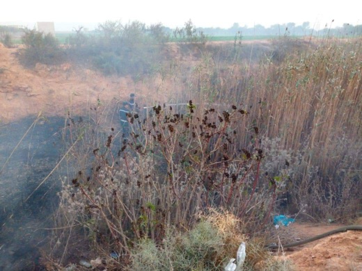 صور.. اندلاع حريق بورشة لصناعة القصب ضواحي مدينة العروي صور.. اندلاع حريق بورشة لصناعة القصب ضواحي مدينة العروي