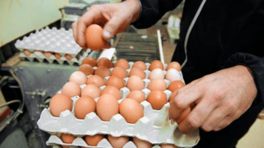 "خليه يخناز".. حملة لمقاطعة شراء البيض