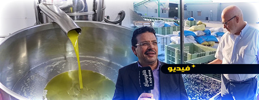 شاهدوا.. هكذا يتم جني وطحن الزيتون بإقليم الدريوش شاهدوا.. هكذا يتم جني وطحن الزيتون بإقليم الدريوش