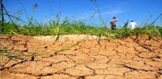 جفاف مخيف.. هل سيصلي المغاربة صلاة الاستسقاء؟ جفاف مخيف.. هل سيصلي المغاربة صلاة الاستسقاء؟