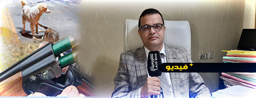 محامي يشرح تفاصيل الحكم القضائي ضد جماعة الناظور بسبب إبادة الكلاب محامي يشرح تفاصيل الحكم القضائي ضد جماعة الناظور بسبب إبادة الكلاب