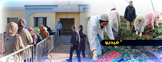 انطلاق عملية تسجيل النساء للعمل في حقول الفراولة بإسبانيا انطلاق عملية تسجيل النساء للعمل في حقول الفراولة بإسبانيا