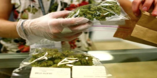 انطلاق دورات تدريب الأطباء والصيادلة على الاستخدامات المشروعة للكيف بالمغرب انطلاق دورات تدريب الأطباء والصيادلة على الاستخدامات المشروعة للكيف بالمغرب