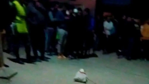 جماجم بشرية ملقاة بالشارع تستنفر الدرك جماجم بشرية ملقاة بالشارع تستنفر الدرك