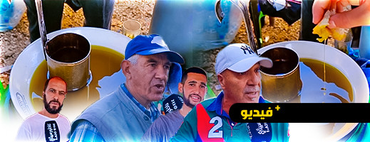 تجار الزيت والزيتون يكشفون أسباب إرتفاع الأسعار بأسواق الريف تجار الزيت والزيتون يكشفون أسباب إرتفاع الأسعار بأسواق الريف