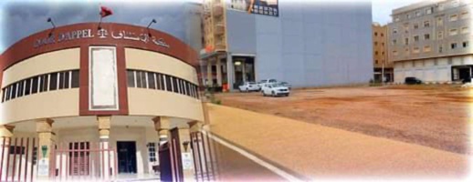 ملف جديد.. مافيا العقار تستولي على قطعة أرضية لمهاجر بحي المطار بعقود مزورة بعد أن توفي قبل 4 سنوات ملف جديد.. مافيا العقار تستولي على قطعة أرضية لمهاجر بحي المطار بعقود مزورة بعد أن توفي قبل 4 سنوات