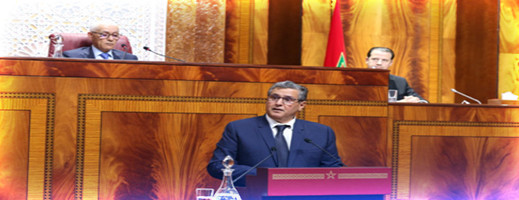 أزمة الماء.. الحكومة تستعد لرفع توصيات إلى الملك أزمة الماء.. الحكومة تستعد لرفع توصيات إلى الملك