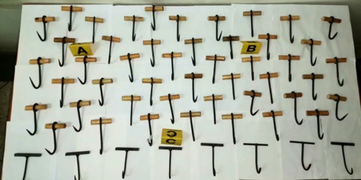 إفشال تحضيرات مهاجرين لتسلق سياج الثغر المحتل إفشال تحضيرات مهاجرين لتسلق سياج الثغر المحتل