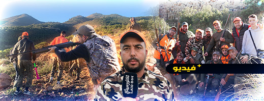 شاهدوا.. تنظيم عملية لقنص الخنزير البري بعد تضرر الفلاحين شاهدوا.. تنظيم عملية لقنص الخنزير البري بعد تضرر الفلاحين