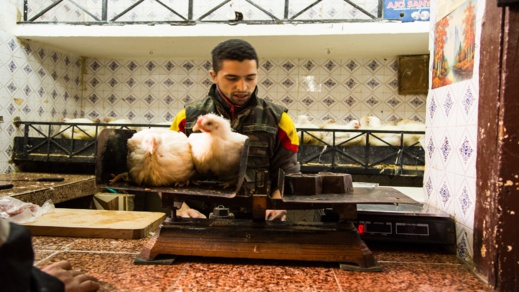 مربو الدجاج: تراجع سعر الدجاج يكبدنا خسائر كبيرة ووزارة الفلاحة تتحمل المسؤولية مربو الدجاج: تراجع سعر الدجاج يكبدنا خسائر كبيرة ووزارة الفلاحة تتحمل المسؤولية