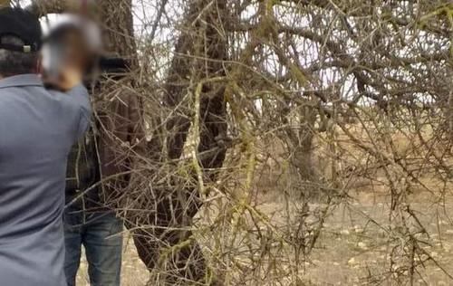 العثور على جثة رجل معلقة بحبل على شجرة نواحي الناظور يثير القلق العثور على جثة رجل معلقة بحبل على شجرة نواحي الناظور يثير القلق