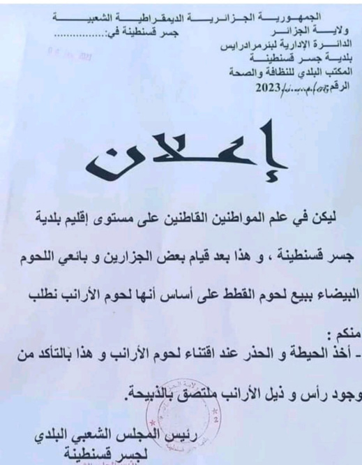 فضيحة أثناء شان الجزائر.. السلطات تحذر من انتشار بيع لحوم القطط فضيحة أثناء شان الجزائر.. السلطات تحذر من انتشار بيع لحوم القطط