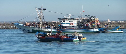 استمرار تدهور قطاع الصيد البحري في موانئ شمال المغرب خلال سنة 2022 استمرار تدهور قطاع الصيد البحري في موانئ شمال المغرب خلال سنة 2022