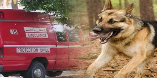 عضة كلب تنهي حياة عنصر من القوات المساعدة عضة كلب تنهي حياة عنصر من القوات المساعدة