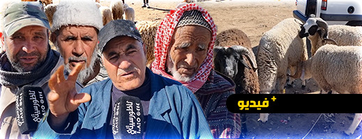 شاهدوا.. ارتفاع الأسعار يصل إلى المواشي والأضاحي بأسواق الدريوش شاهدوا.. ارتفاع الأسعار يصل إلى المواشي والأضاحي بأسواق الدريوش