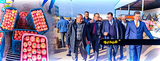 شاهدوا.. عمالة الناظور تباشر جولاتها في الأسواق المحلية للحد من الغلاء وزجر المخالفين والمحتكرين شاهدوا.. عمالة الناظور تباشر جولاتها في الأسواق المحلية للحد من الغلاء وزجر المخالفين والمحتكرين