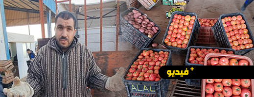 شاهدوا.. تصدير الخضر والفواكه للخارج هو سبب الغلاء في الأسواق المغربية شاهدوا.. تصدير الخضر والفواكه للخارج هو سبب الغلاء في الأسواق المغربية
