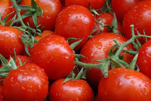 المغرب يمنع تصدير الطماطم والبطاطس والبصل للحد من ارتفاع الأسعار