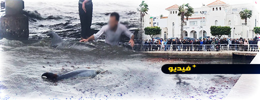 شاهدوا.. أمواج بحيرة مارتشيكا تلفظ حوتا ضخما شاهدوا.. أمواج بحيرة مارتشيكا تلفظ حوتا ضخما