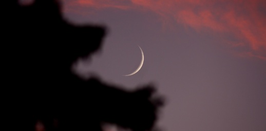 هذه هي المدة التي تفصلنا عن رمضان الأبرك.. وزراة الأوقاف تعلن عن موعد حلول شهر شعبان هذه هي المدة التي تفصلنا عن رمضان الأبرك.. وزراة الأوقاف تعلن عن موعد حلول شهر شعبان