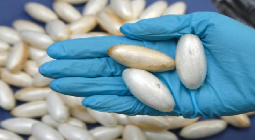 استخراج كوكايين من أمعاء مواطن إفريقي بالمغرب استخراج كوكايين من أمعاء مواطن إفريقي بالمغرب