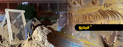 شاهدوا.. عظام بشرية في رمال البناء تستنفر سلطات الناظور