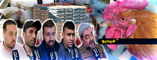 مهنيو الدواجن بالناظور يتوقعون استمرار ارتفاع الأسعار مهنيو الدواجن بالناظور يتوقعون استمرار ارتفاع الأسعار