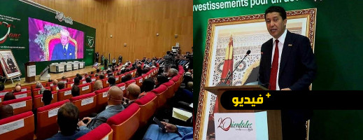 بعوي: المبادرة الملكية لتنمية جهة الشرق حققت منجزات كبيرة على جميع المستويات بعوي: المبادرة الملكية لتنمية جهة الشرق حققت منجزات كبيرة على جميع المستويات