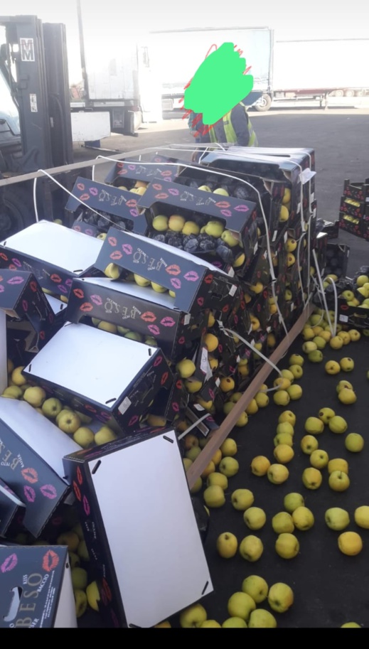 تضرر السلع بميناء بني انصار تجمع مدير "مارسا ماروك" بمستثمري جهة الشرق وبرلمانية التقدم والاشتراكية تضرر السلع بميناء بني انصار تجمع مدير "مارسا ماروك" بمستثمري جهة الشرق وبرلمانية التقدم والاشتراكية