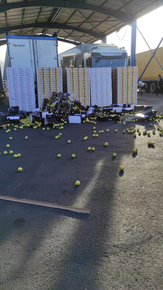 تضرر السلع بميناء بني انصار تجمع مدير "مارسا ماروك" بمستثمري جهة الشرق وبرلمانية التقدم والاشتراكية تضرر السلع بميناء بني انصار تجمع مدير "مارسا ماروك" بمستثمري جهة الشرق وبرلمانية التقدم والاشتراكية