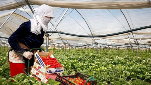 الشرطة الإسبانية تنقذ مهاجرة مغربية احتجزها مشغلها ليحولها إلى "جارية"