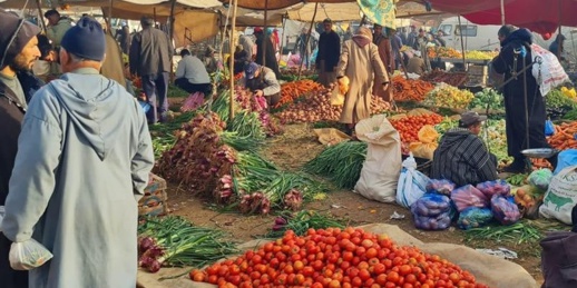 الحكومة: عملية التموين مستمرة في أحسن الظروف خلال الـ12 يوما الأولى من رمضان الحكومة: عملية التموين مستمرة في أحسن الظروف خلال الـ12 يوما الأولى من رمضان
