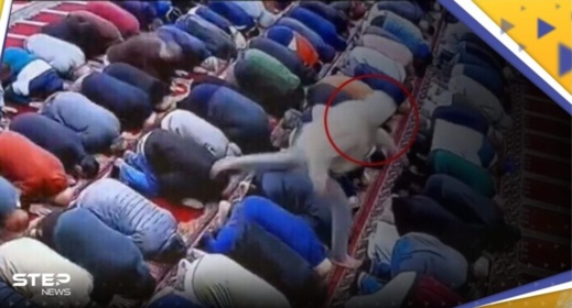 شخص يحاول ذبح إمام مسجد خلال صلاة الفجر