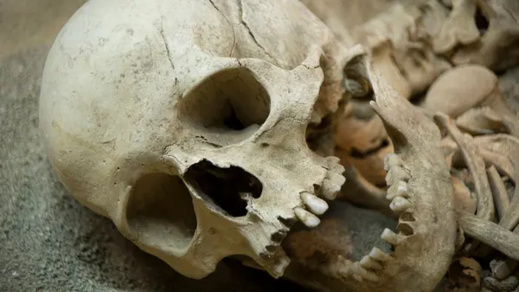 صور مذهلة.. إعادة بناء وجه رجل عاش قبل زهاء 35 ألف سنة! صور مذهلة.. إعادة بناء وجه رجل عاش قبل زهاء 35 ألف سنة!