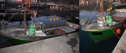 الحسيمة.. إفشال عملية للهجرة السرية واعتقال صاحب قارب للصيد التقليدي الحسيمة.. إفشال عملية للهجرة السرية واعتقال صاحب قارب للصيد التقليدي