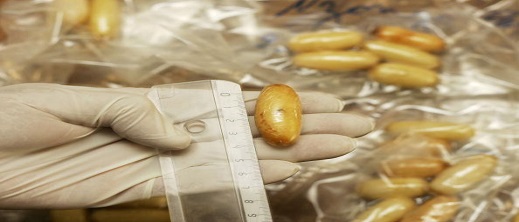 توقيف زوجين برازيليين في المطار بتهمة تهريب المخدرات توقيف زوجين برازيليين في المطار بتهمة تهريب المخدرات