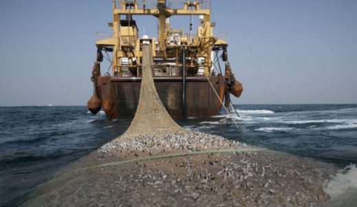 اتهام قوارب مغربية بالصيد في المياه الإسبانية.. الحكومة توضح