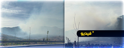 شاهدوا.. نيران كثيفة تلتهم غابة غوروغو بالناظور شاهدوا.. نيران كثيفة تلتهم غابة غوروغو بالناظور