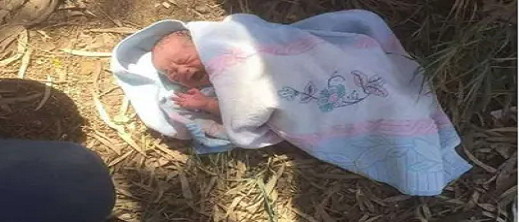 صدمة بعد العثور على رضيعة حديثة الولادة متخلى عنها في حديقة صدمة بعد العثور على رضيعة حديثة الولادة متخلى عنها في حديقة