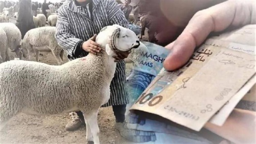 مع اقتراب عيد الأضحى.. مطالب للحكومة بمنح مساعدات للأسر المعوزة مع اقتراب عيد الأضحى.. مطالب للحكومة بمنح مساعدات للأسر المعوزة